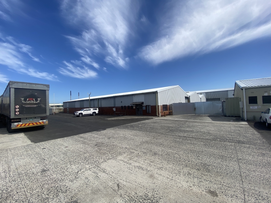 To Let commercial Property for Rent in Epping Industrial Western Cape